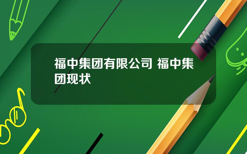 福中集团有限公司 福中集团现状